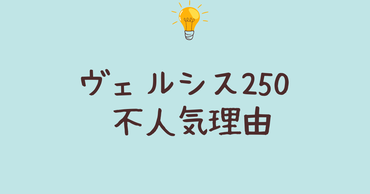 ヴェルシス250不人気理由とは？燃費や車体の大きさが影響？